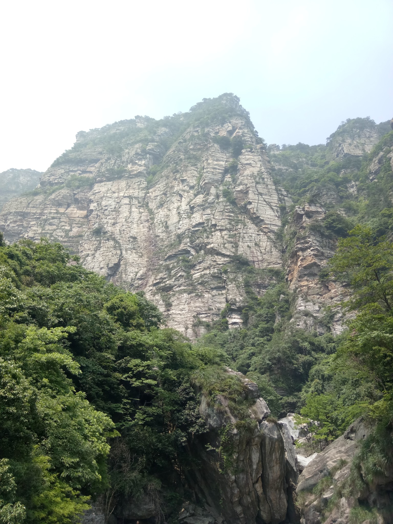 九江市有多少人口_九江市人口分布图(3)