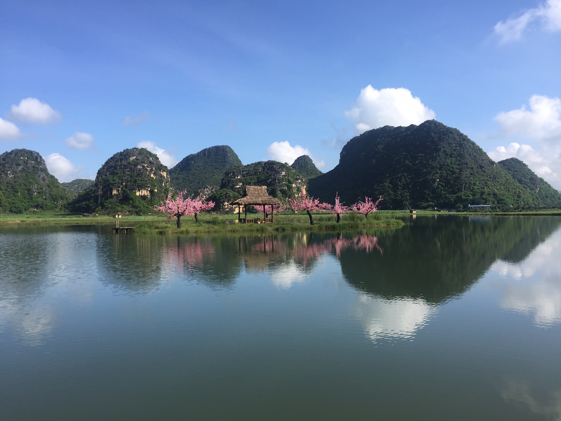 普者黑旅游大全美食_住宿、攻略、游记和旅行大理丽江5日自助游攻略图片