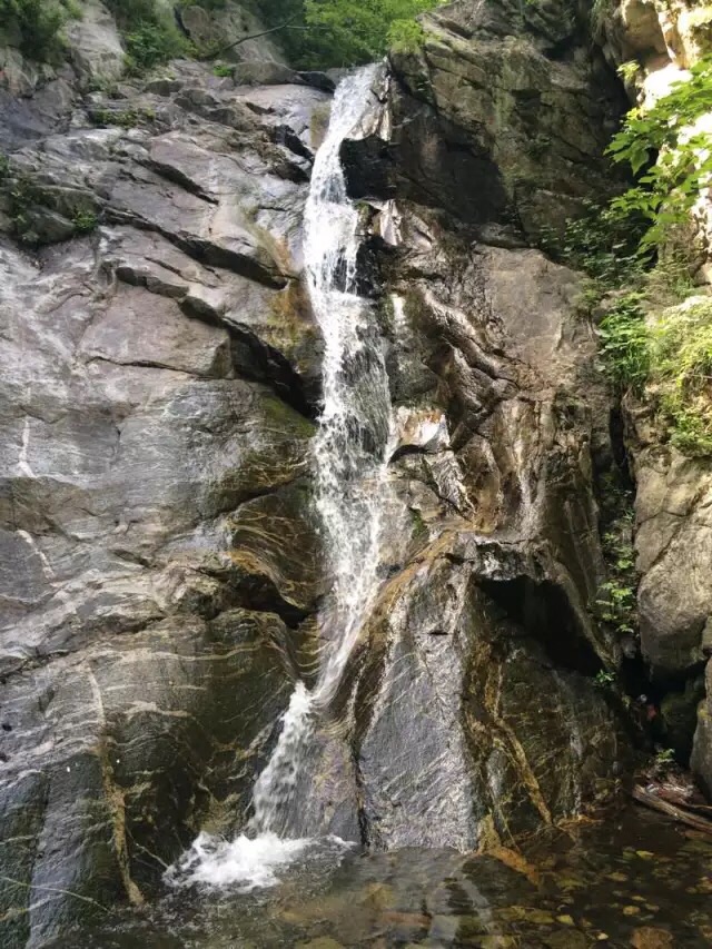 剔透似白玉;  双龙盘古开天地,  两龙戏水在瀑间;  葱葱古柏岩中生