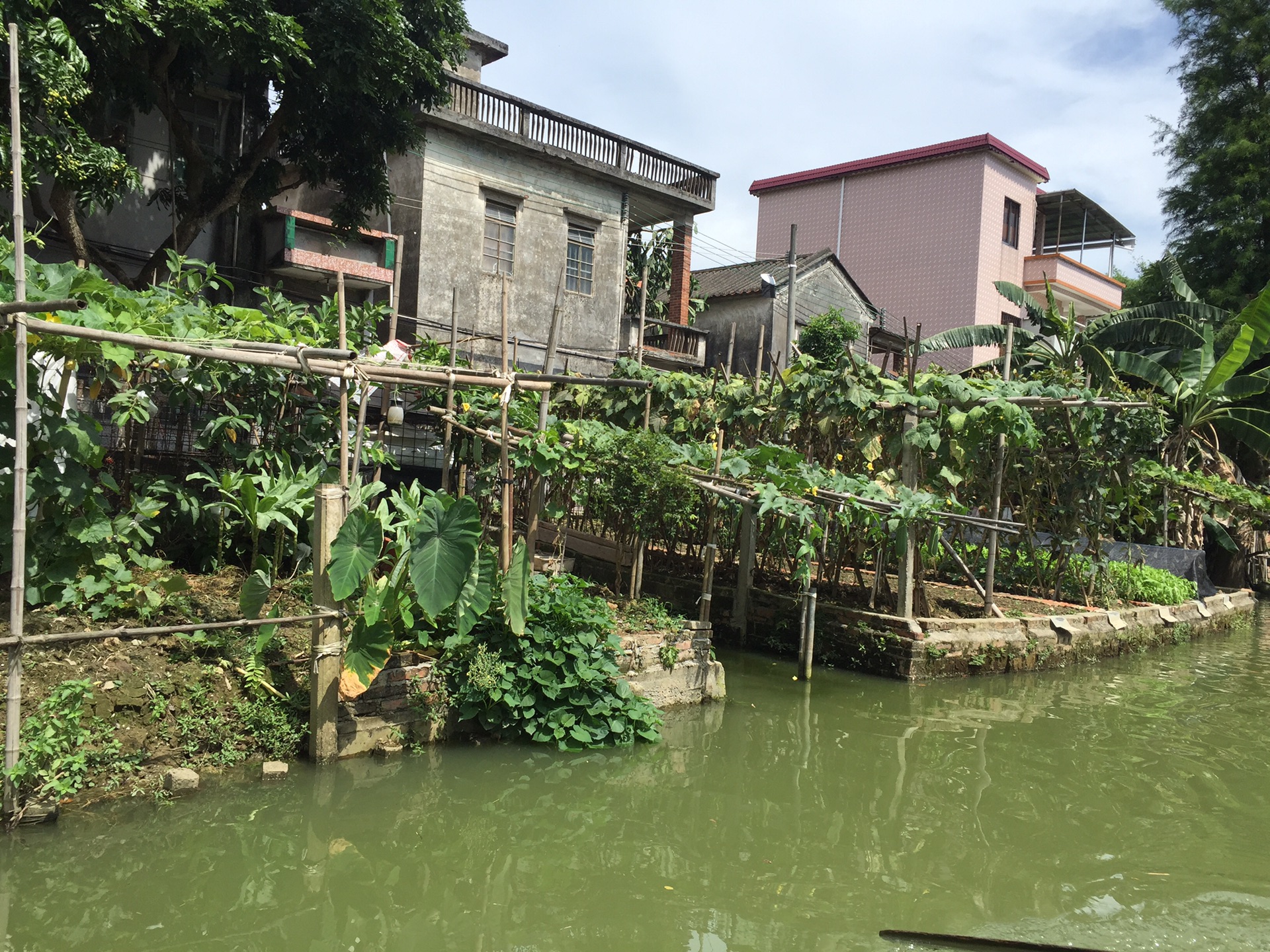 大稳村(广州南沙自驾游)