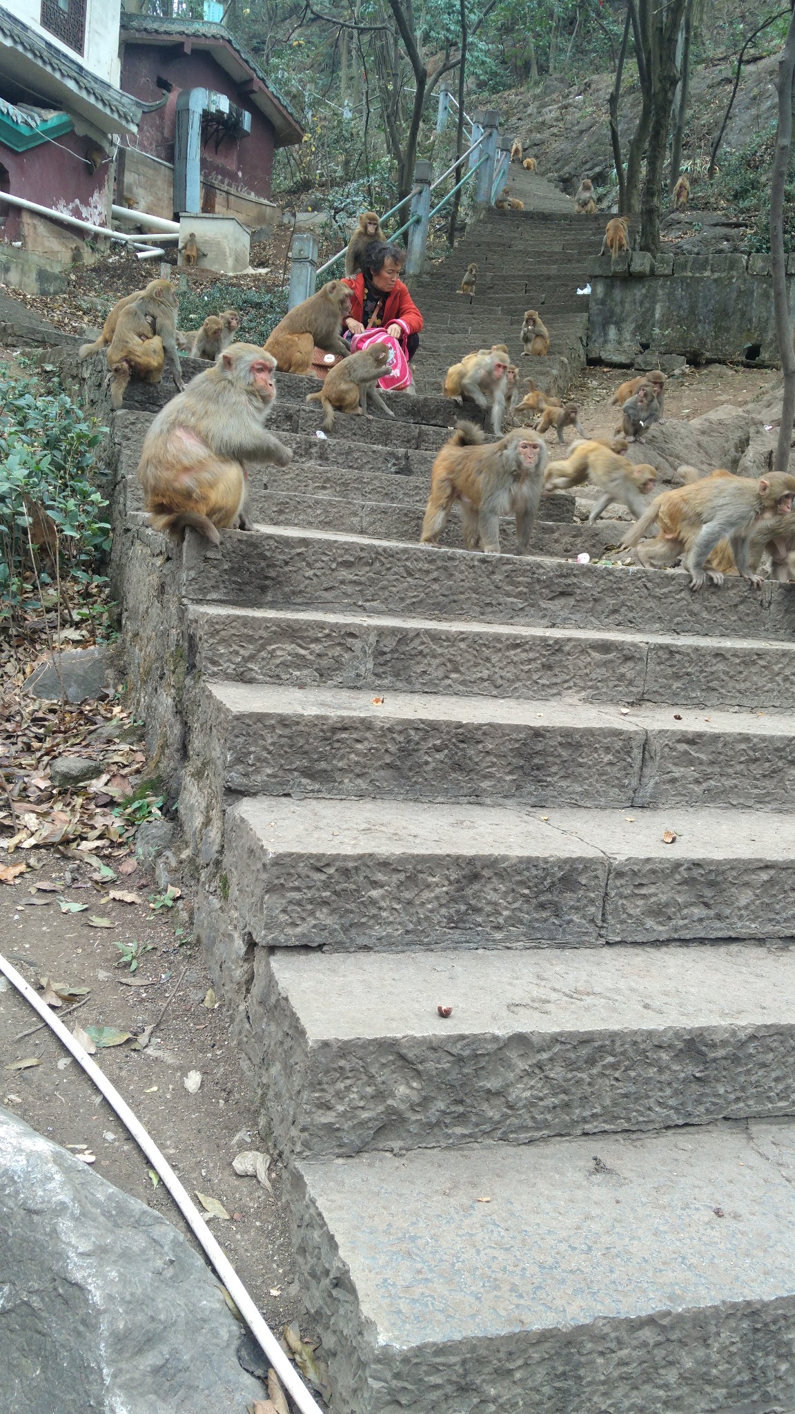 贵阳黔灵山公园