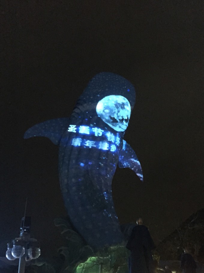 ,海狮港湾,海鸟世界等; 3、 --> 游乐设施:旋转水战,海豚转转车, 5D城堡影院, 鹦鹉过山车,海底互动船,冰山过山车,欢乐碰碰车,游戏廊,梦幻海洋,超级激流,激浪帆船。 4、 --> 剧场表演:海豚剧场,白鲸剧场,海狮剧场; 5、 --> 户外表演: 海洋王国欢迎您,海洋动感嘉年华,,跳跃旋律音乐喷泉,海洋大巡游,
