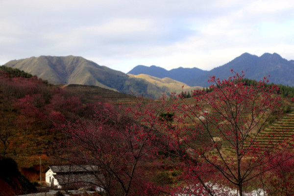 汪峪街道风景