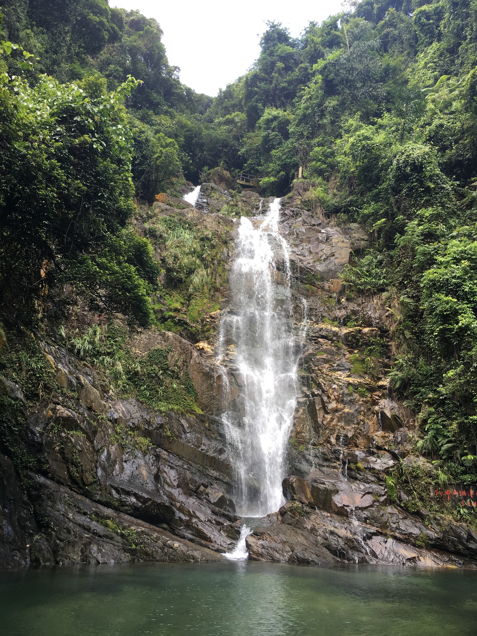 8.4肇庆鼎湖山