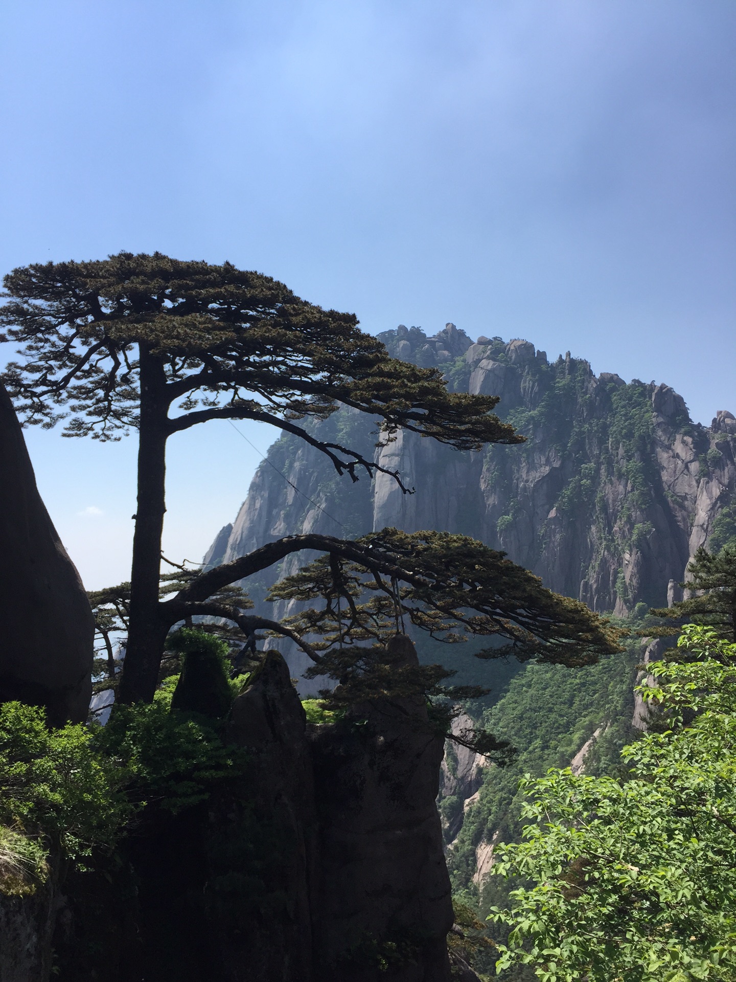 你好,黄山!
