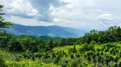 重庆摩围山风景区门票