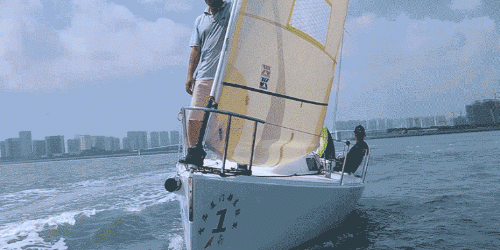 厦门必玩,扬帆出海一小时与白海豚共舞
