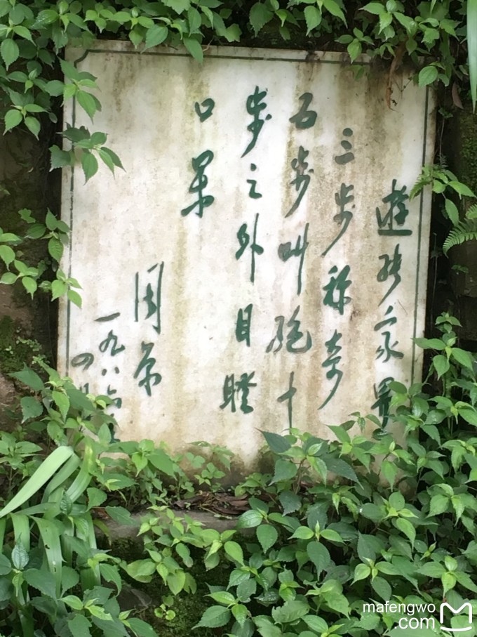 森林公园(第二次入园) 天子山门票站-三岔口站-包车来回去老屋场-空中田园-神兵聚会-远观百龙天梯 (游玩时间1h)-三岔口站-天子山停车场--贺龙公园西海峰林-天子阁--天女散花--御笔峰(游玩时间2h)-天子山停车场-大观台路口-大观台--神鸡啄食--一步难行---仙人桥-天子座(游玩时间4h)三岔口站-天子山门票站 住天子山 D4 25号: