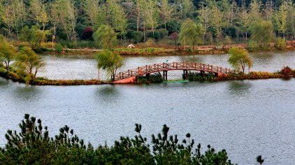 江山耕读农场门票