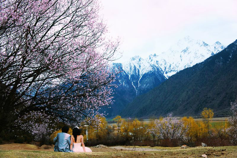 林芝婚纱照_林芝桃花