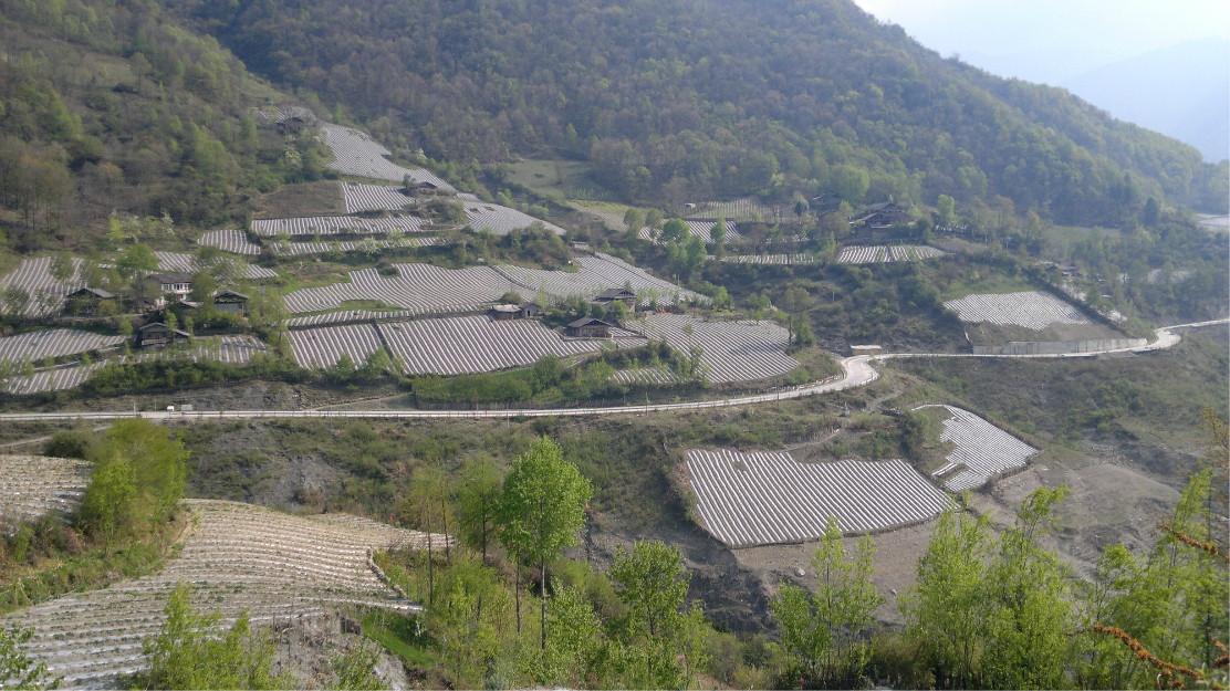 芦山县城有多少人口_4月29日的芦山县城(2)