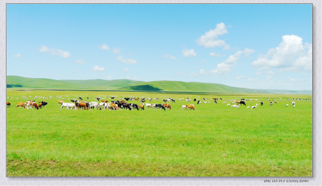 wKgB3FH5B5yAMxY4AAzMeJBGocc58.jpeg?imageView2%2F2%2Fw%2F600%2Fh%2F600%2Fq%2F90