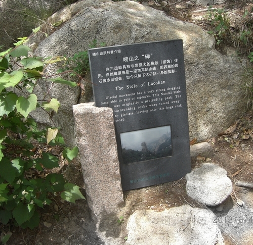 康大集团董事长身价