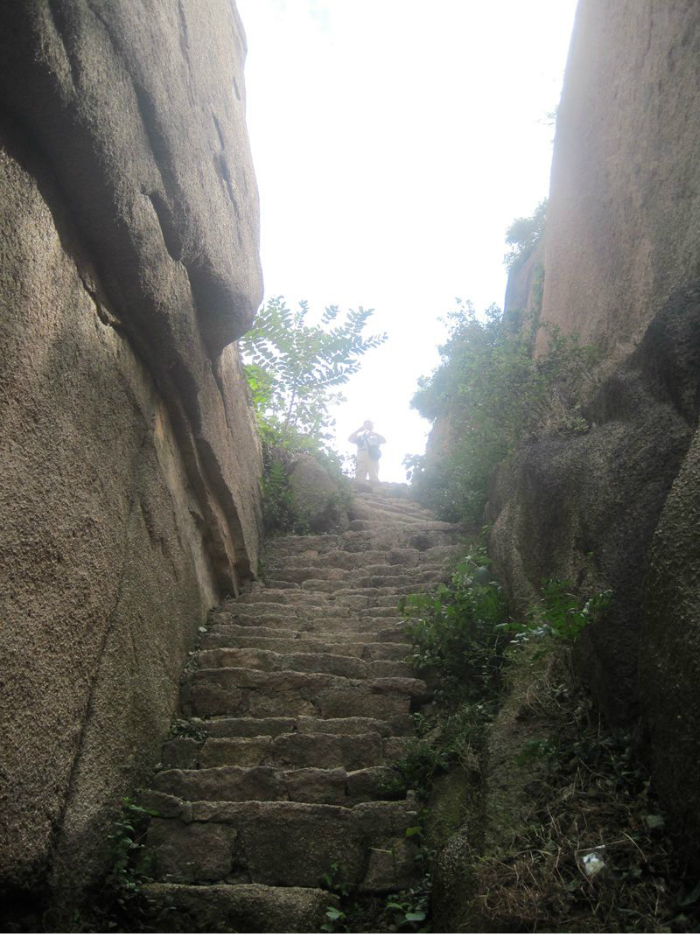 总面积150平方公里,辖嵖岈山主景区,凤鸣谷景区,龙天沟景区,红石崖