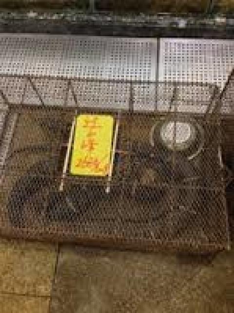 黄圃津津海鲜酒楼_海鲜酒楼logo_津津海鲜酒楼(2)
