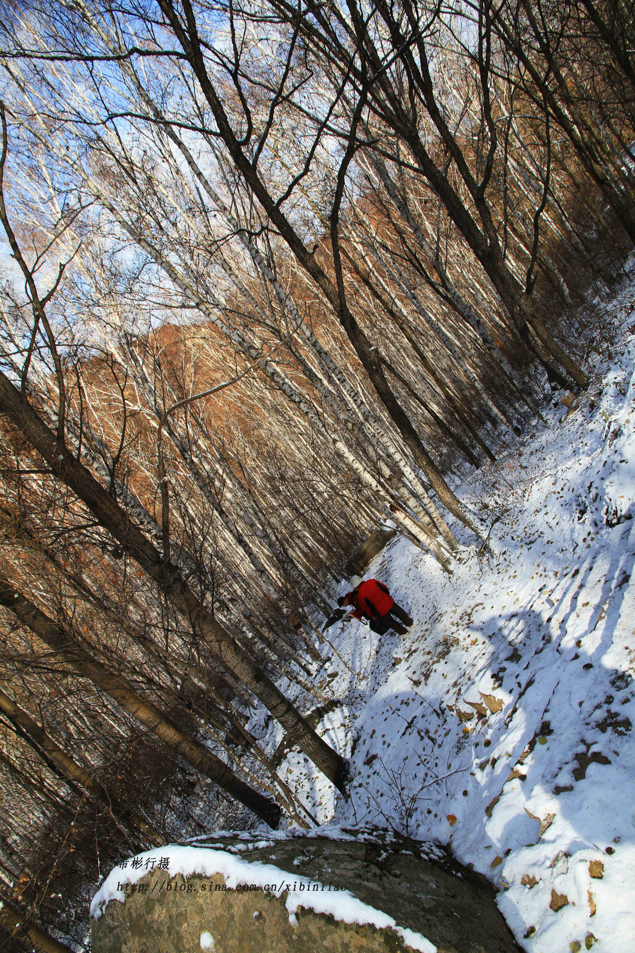 雪后喇叭沟门原始森林