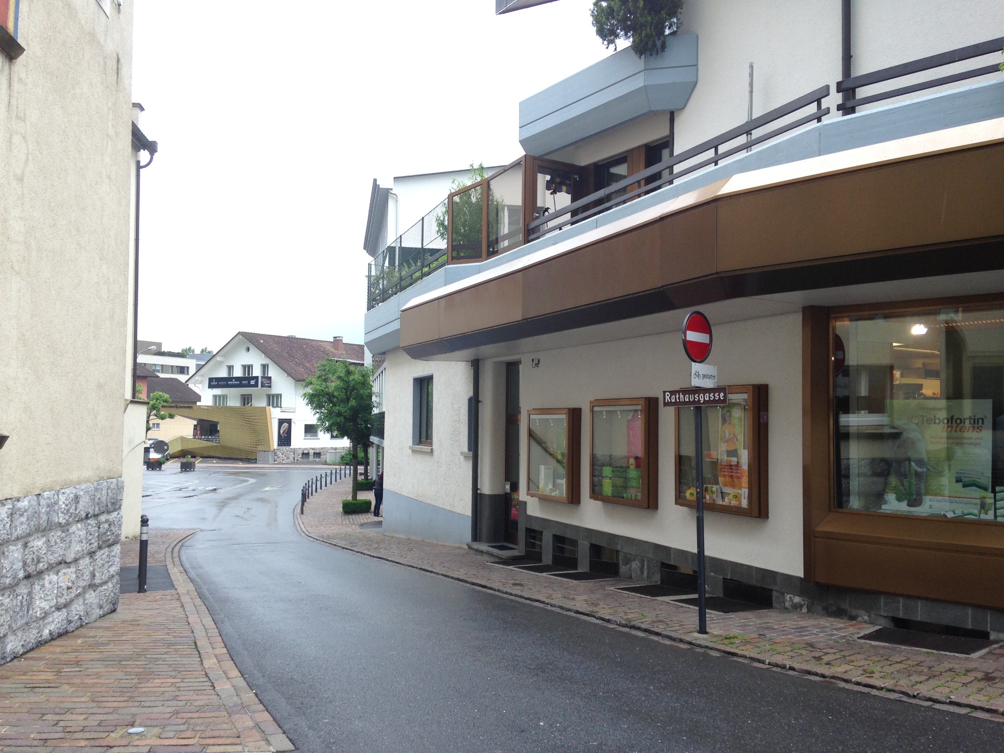 列支敦士登国旗含义_列支敦士登人均收入(3)