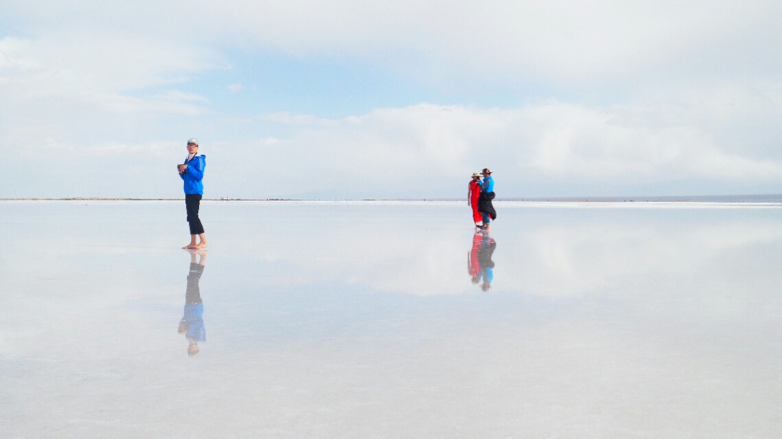 像山风一样自由简谱_有首歌的歌词有 像山风一样自由 请问是哪首歌的