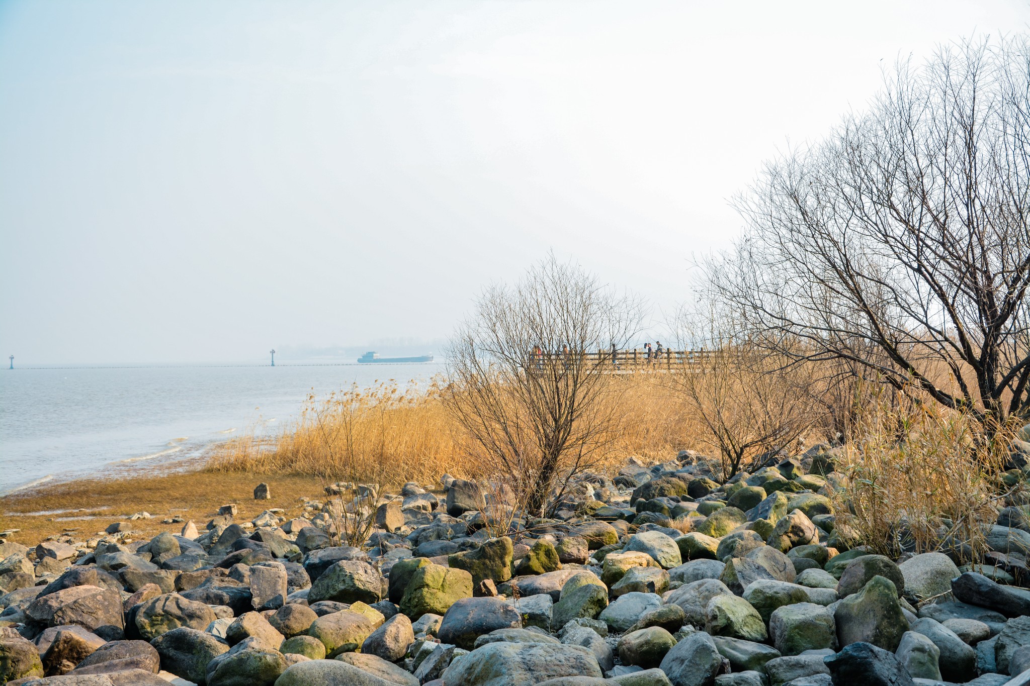 上海吴淞炮台湾湿地森林公园