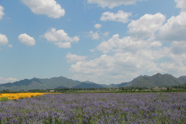 十三陵水库下面是什么 wKgBpVWDepCAbSfJAAl985gxbSw64.jpeg?imageView2%2F2%2Fw%2F600%2Fh%2F600%2Fq%2F90