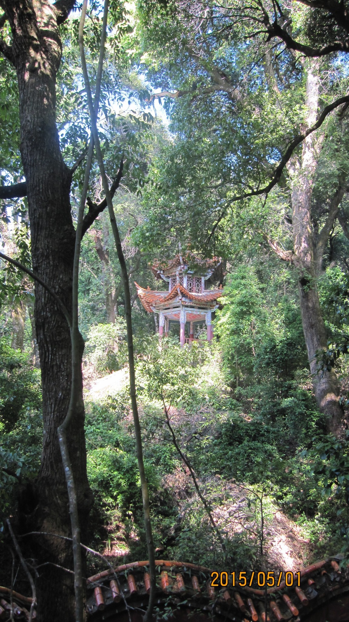 全家人五一节武定狮子山和元谋物茂土林一日游