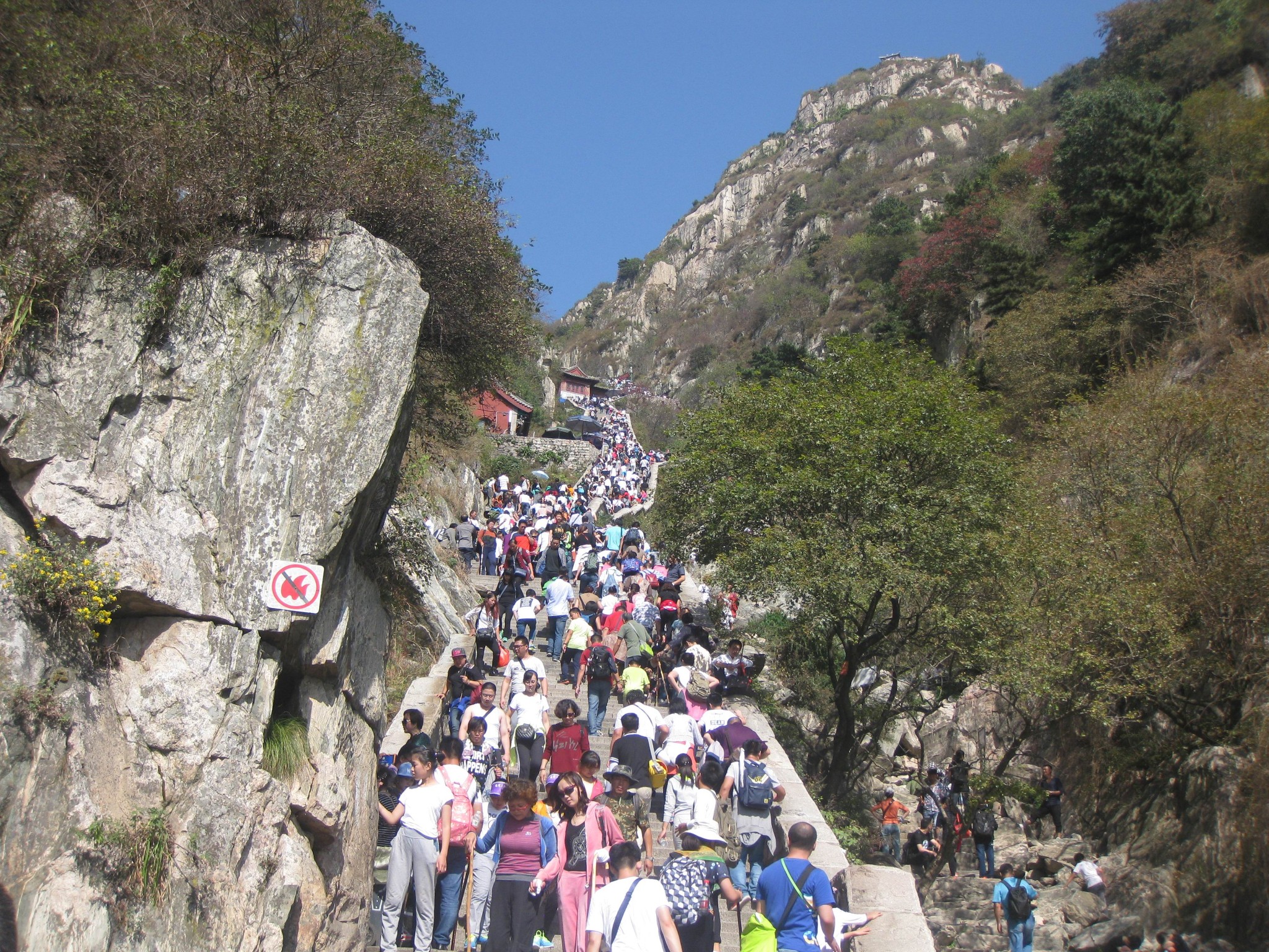 国庆泰山一日游