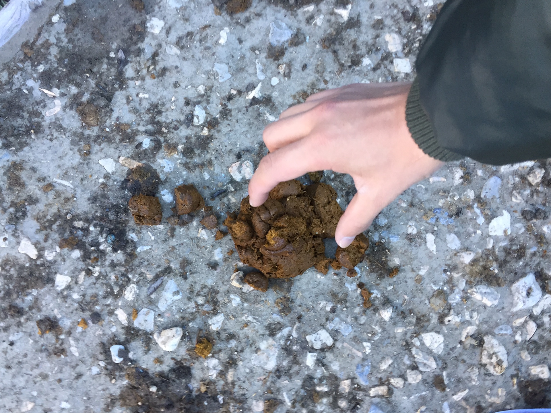 16初寻西藏的脚步 蓝色净土亚丁稻城