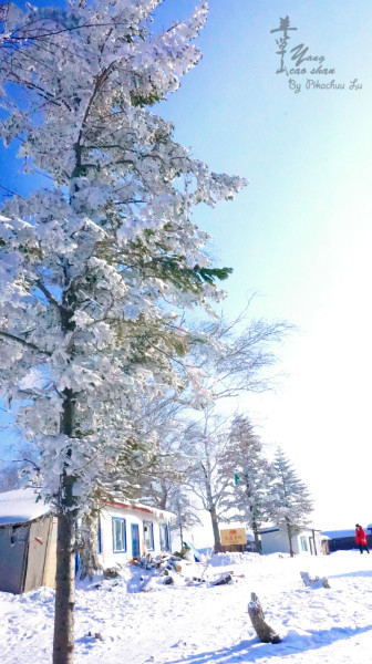 寒冬腊月大雪纷飞小说 wKgBs1bUZWeAMKBMAA1GWkcJKrY65.jpeg?imageView2%2F2%2Fw%2F600%2Fh%2F600%2Fq%2F90