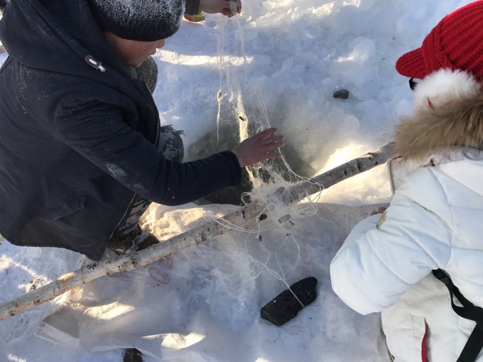 歌曲我们这一辈简谱徐晓凤演唱