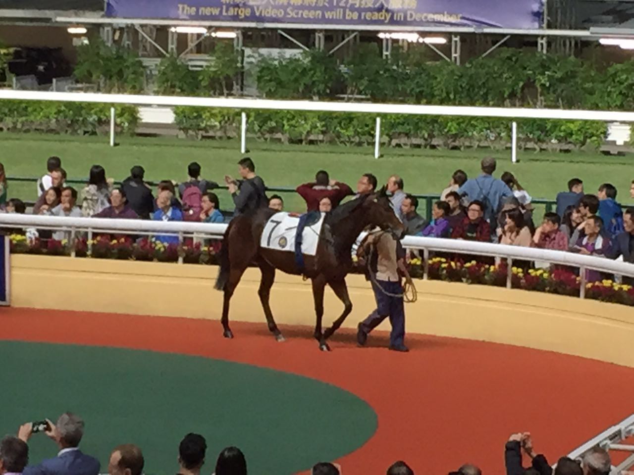 香港澳门自由行