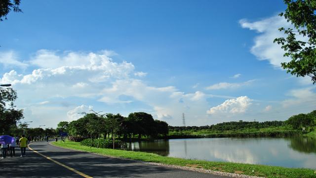 【深圳出发】东莞浪漫松山湖 梦幻百花洲赏花1日游