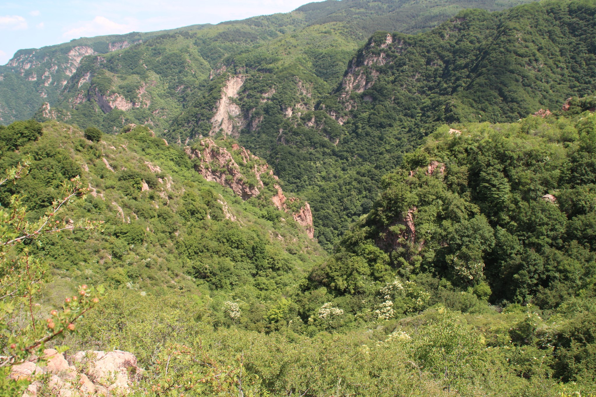 白玉村人口_江油市白玉村图片