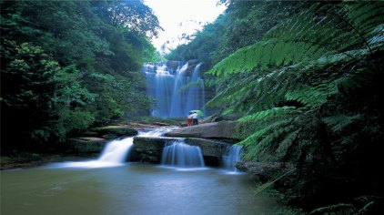 赤水四洞沟景区门票