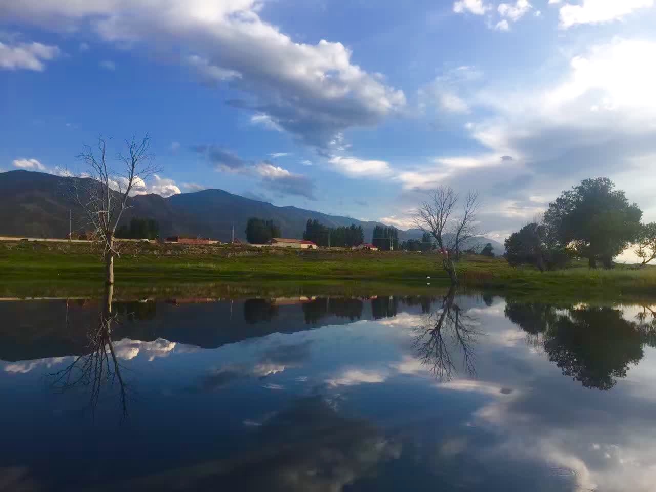 花开等你来       转角遇到另一个天堂——温泉县冷水鱼基地,这是