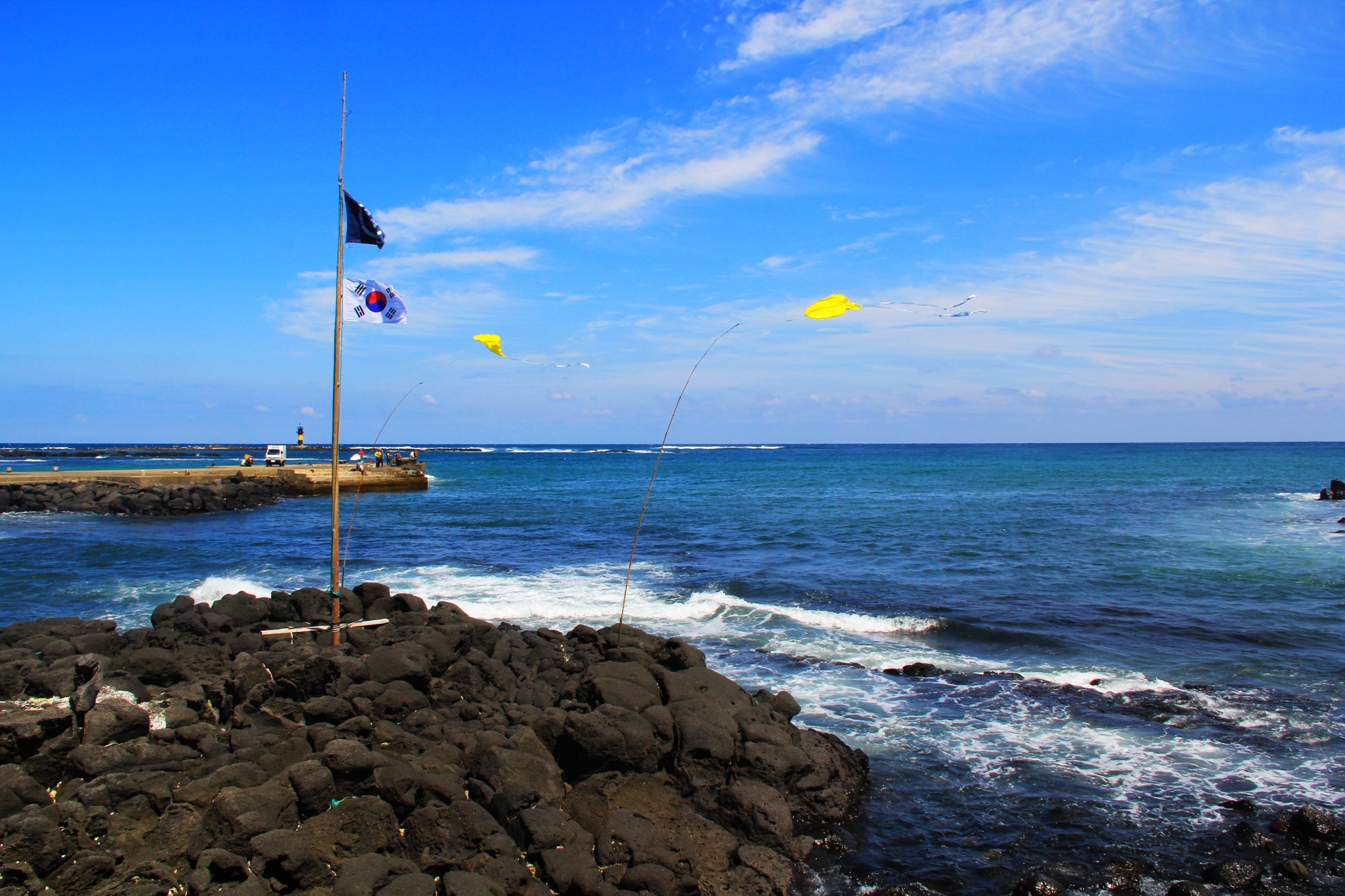 济州排名_济州真柏盆景图片(2)