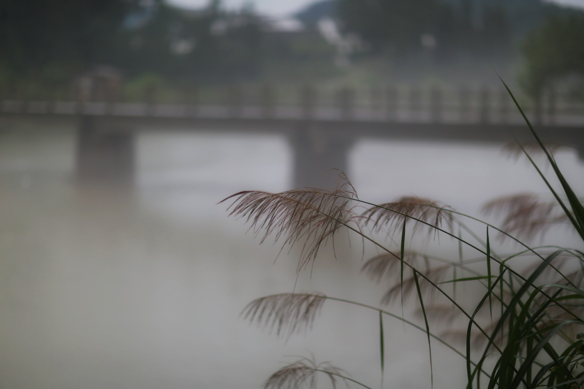 山重水路疑无路柳暗花明又一村猜成语
