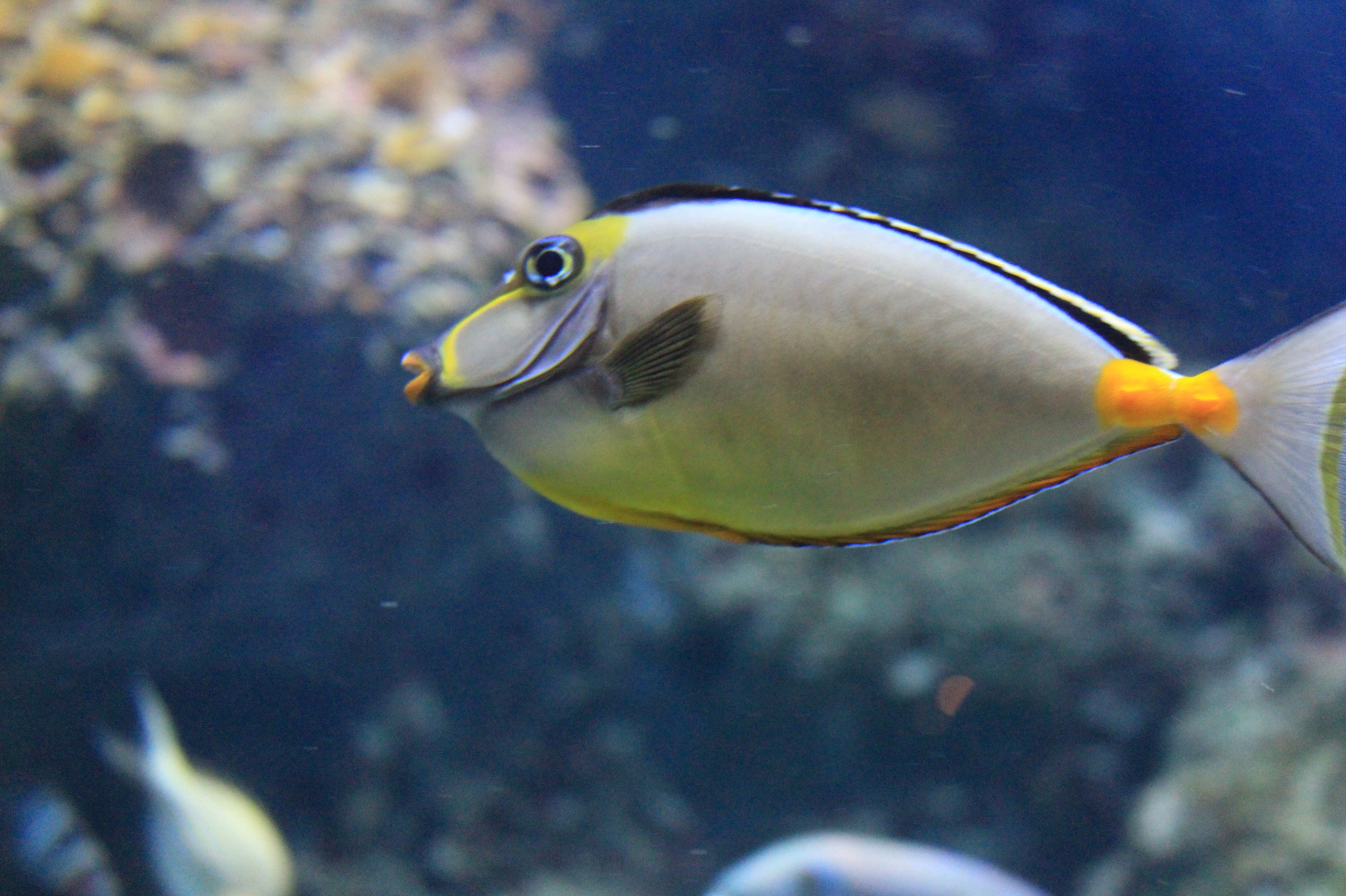 新加坡酒店_新加坡旅游景点_新加坡收入消费