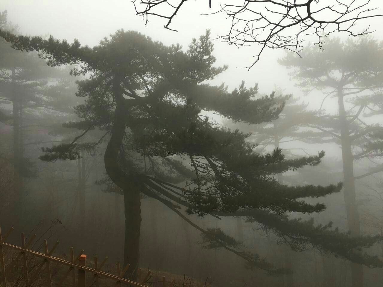 浪漫春游――徽州黄山宏村之旅