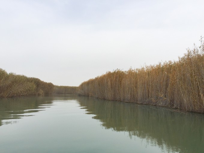 博斯腾湖风景区