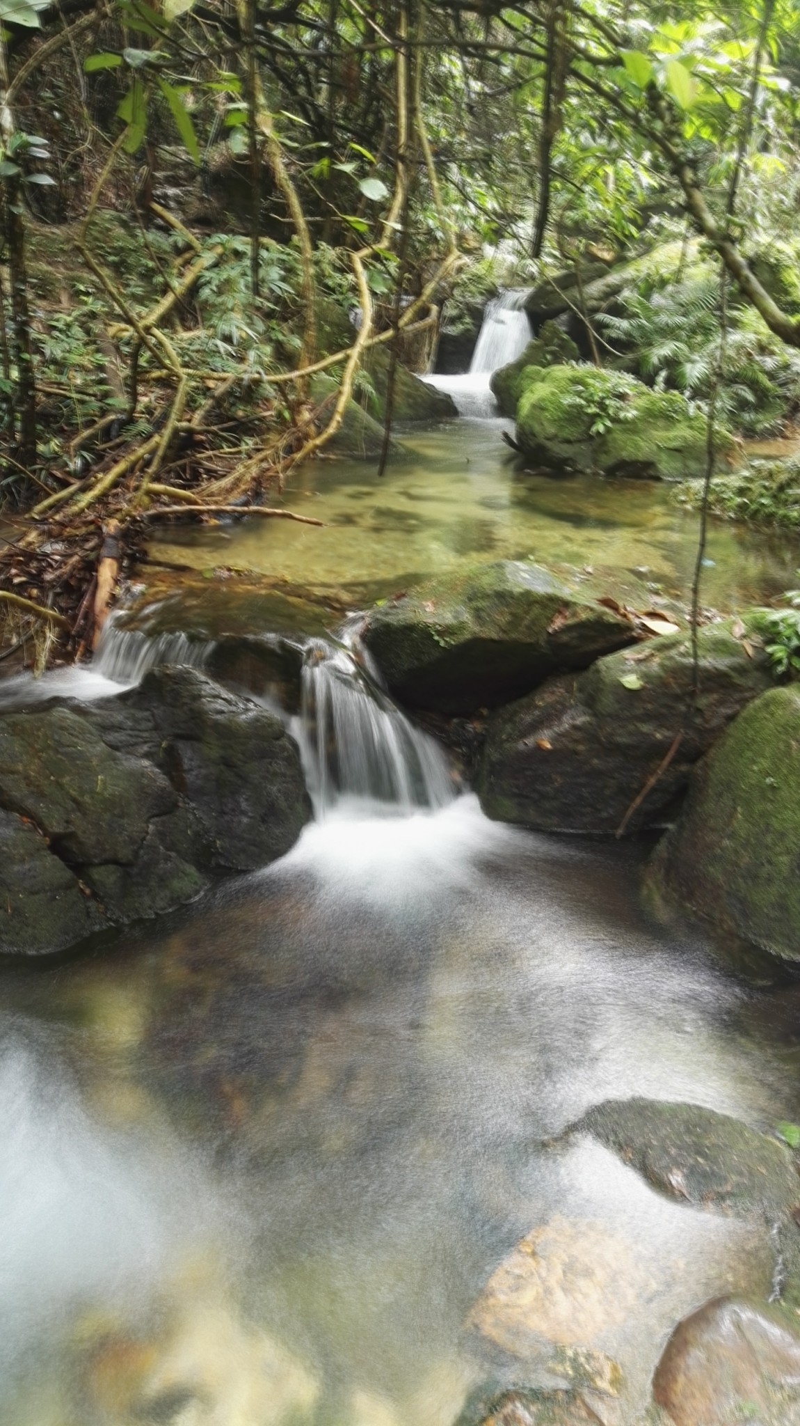 肇庆市九龙湖        