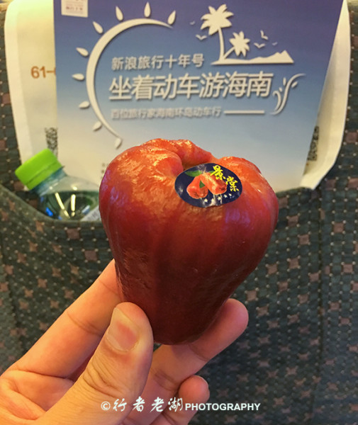 中国第二大岛海南岛因为其独特的自然环境,深受国人的喜爱,成为最中国佳度假胜地。但是,一直以来只有自驾才能更方便地畅游全岛。2015年12月30日,海南岛环岛铁路全线开通,全长653公里,有海口、东方、乐东、凤凰机场、三亚、陵水、博鳌、琼海等25个车站,那我们纸上谈兵,说说坐动车吃喝玩转海南的攻略吧。 许多新闻媒体说,海南岛环岛火车是全世界第一个环岛高铁,其实环岛的火车时速低于250公里,不是高铁而是高速铁路,就是和谐号动车。记得以前从海口开车自驾到三亚,大约需要3-4小时,现在动车开通之后,海口到三亚