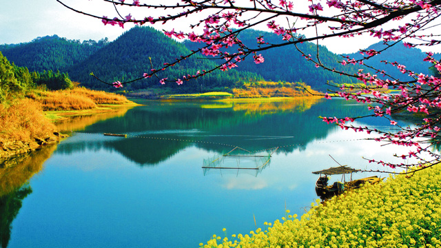 千岛湖龙川湾景区门票