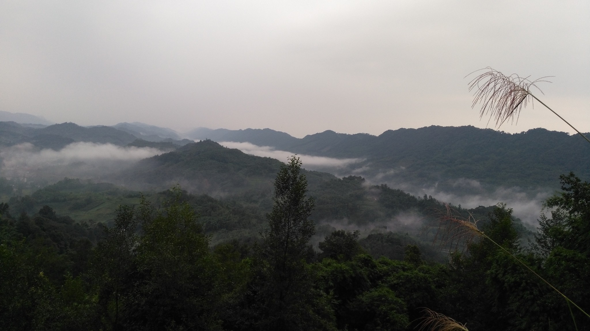 静观青山远黛淡看风起云卷二郎山喇叭河游记