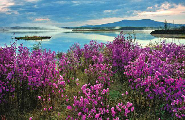 阿尔山超实用旅游攻略 (所有景点及路线,旅游前必看)