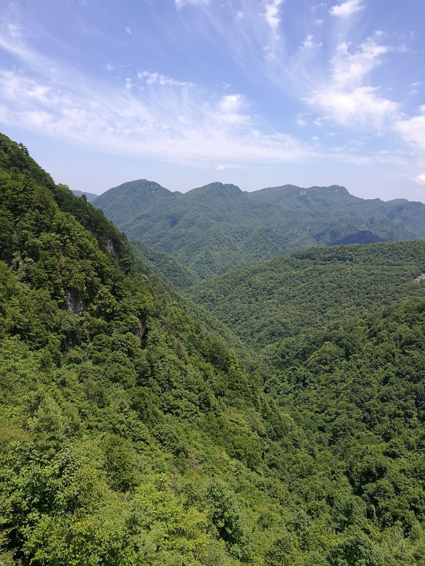 神农顶老总_神农尝百草图片(2)