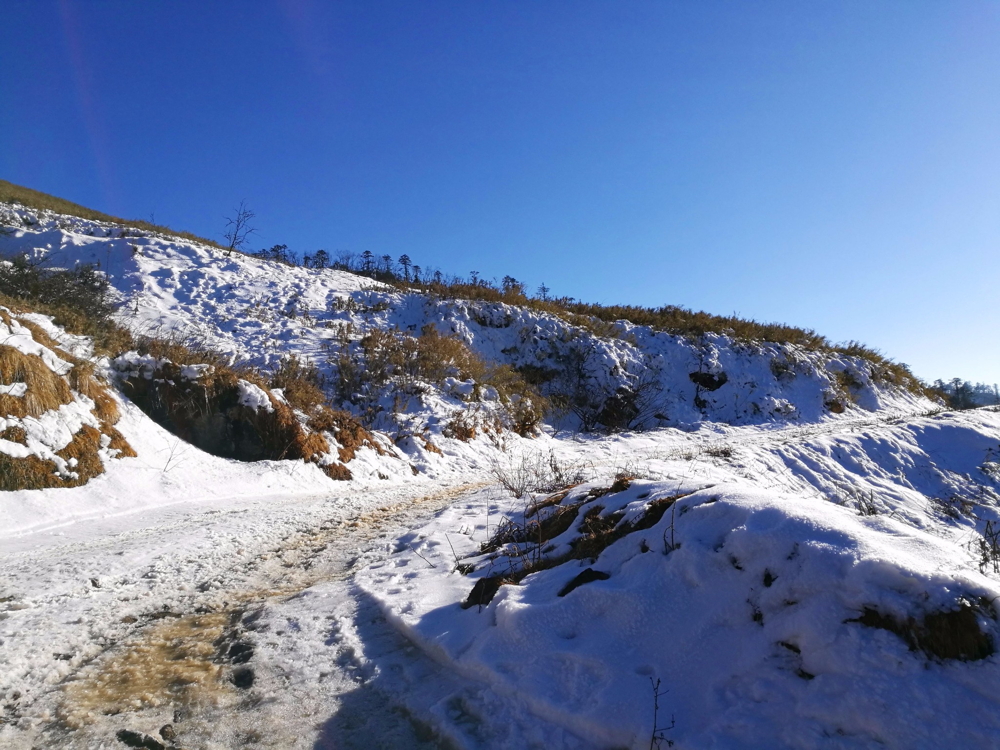 雪线与人口_高山林线与雪线(2)