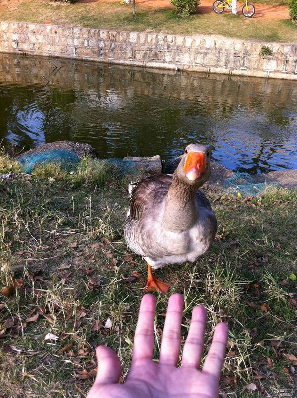 猜成语 一个人盘腿而坐_一个人看图猜成语图片