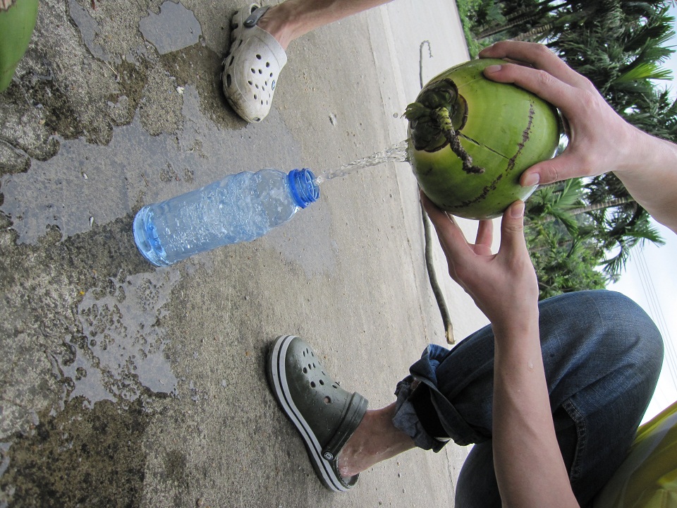 别看这个椰子不大,但里面的水足够装满一个脉动瓶子.