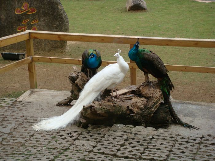 wKgBjE9LD_v9UYrjAAGCm_H4YUE11.jpeg?imageView2%2F2%2Fw%2F680%2Fq%2F90
