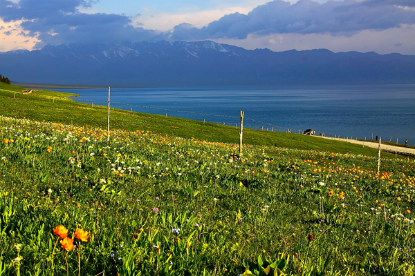 wKgB3FHKplqAbtSbAAdWnstEo9E46.jpeg?imageView2%2F2%2Fw%2F600%2Fq%2F90